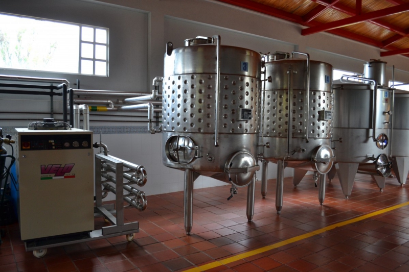 cave-COLOMARS-min_wine_production_cantine_winery_drink_alcohol_vine_beverage-902036